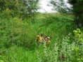 /album/a2%c2%ba%20enduro%20a%20pe/sdc18945-700x525-jpg/